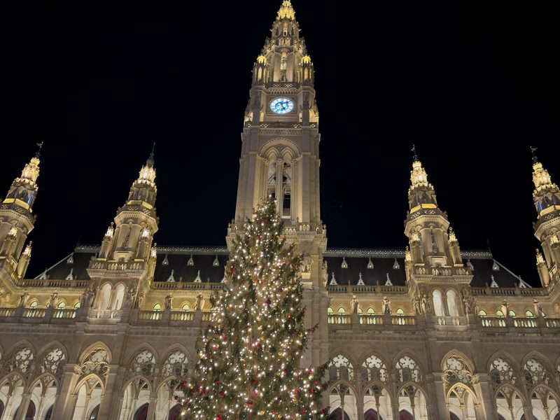 Vienna Christmas markets guide cover